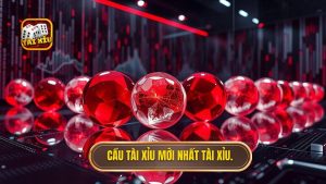 Cầu tài xỉu mới nhất TÀI XỈU.