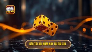 Kèo tài xỉu hôm nay tại TÀI XỈU.