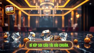 Những dạng cầu thường gặp nhất