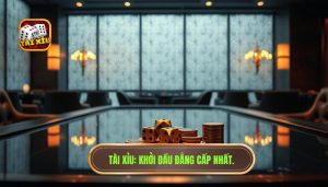 Người mới nên bắt đầu như thế nào