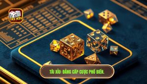 Những kiểu cược tài xỉu phổ biến: Cẩm nang chi tiết từ chuyên gia